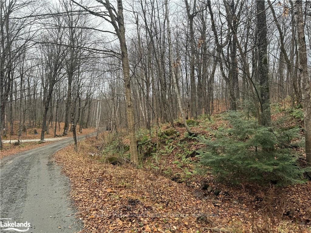 0 Basshaunt Lake Road Property Photo 2