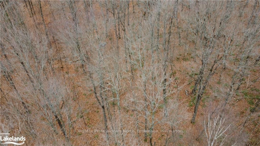 0 Basshaunt Lake Road Property Photo 17