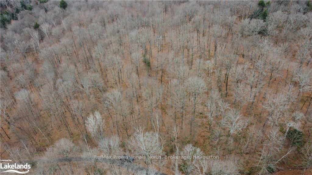 0 Basshaunt Lake Road Property Photo 18