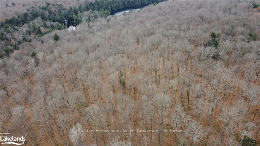 0 Basshaunt Lake Road Property Photo 19