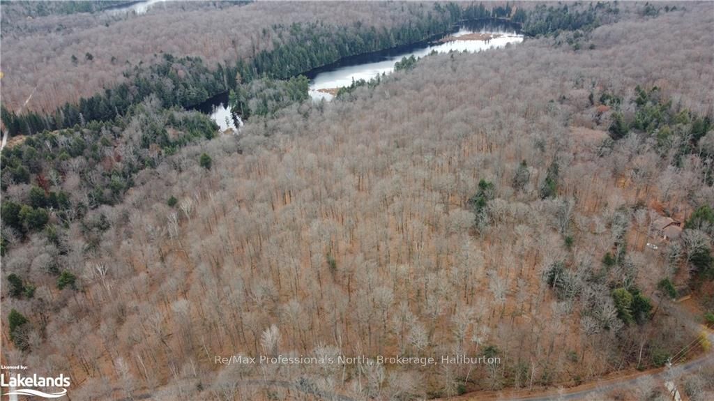 0 Basshaunt Lake Road Property Photo 21
