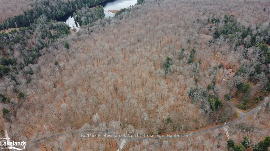 0 Basshaunt Lake Road Property Photo 22
