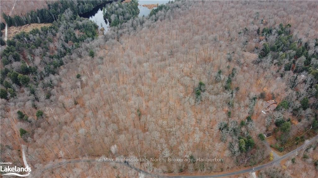 0 Basshaunt Lake Road Property Photo 23