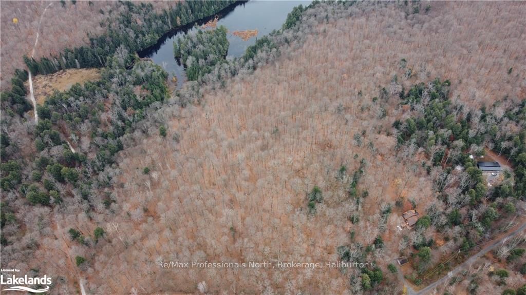 0 Basshaunt Lake Road Property Photo 24