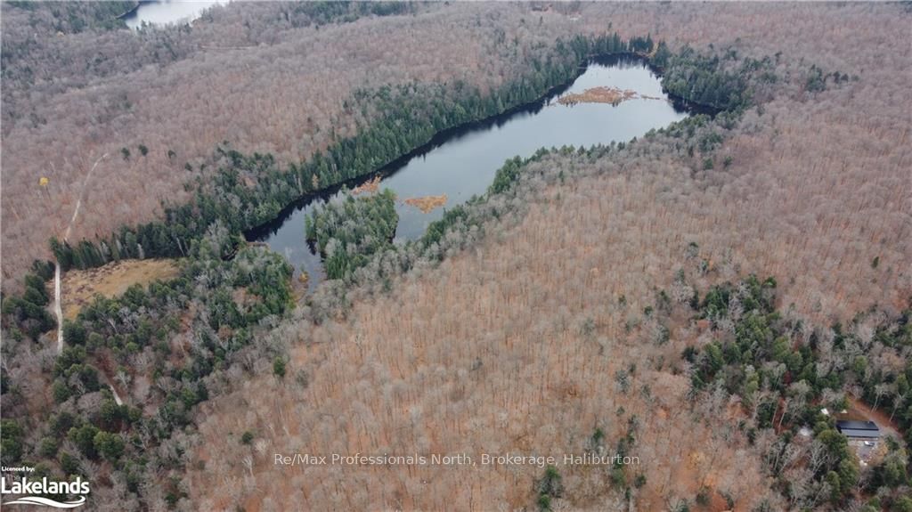 0 Basshaunt Lake Road Property Photo 25