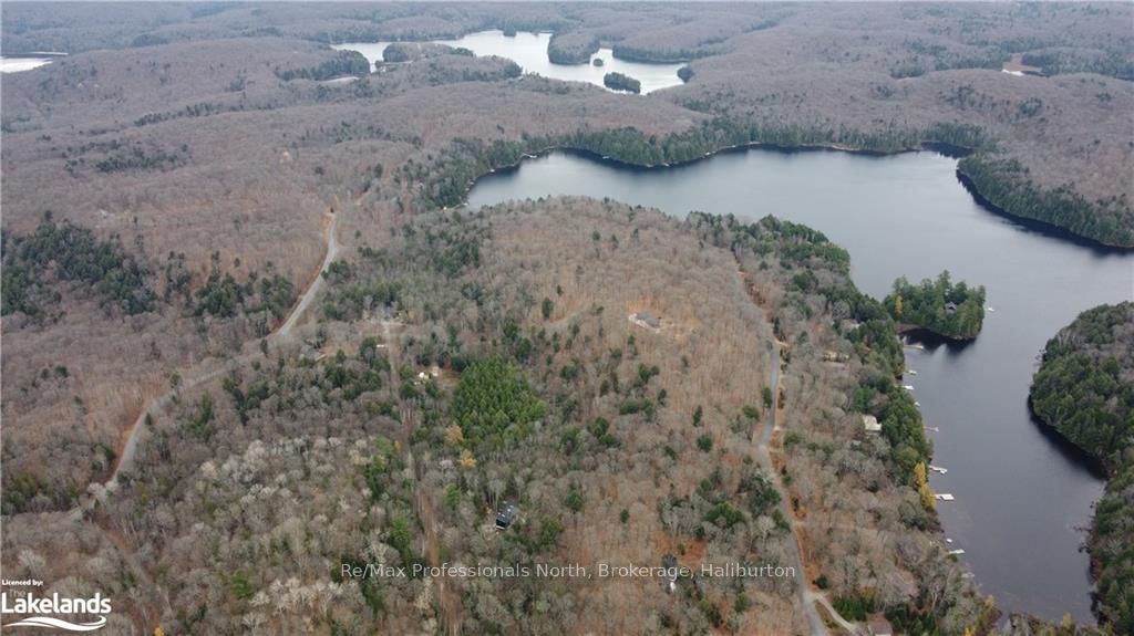 0 Basshaunt Lake Road Property Photo 27