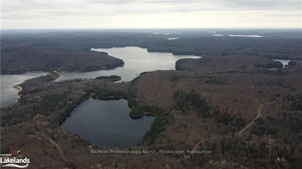 0 Basshaunt Lake Road Property Photo 28