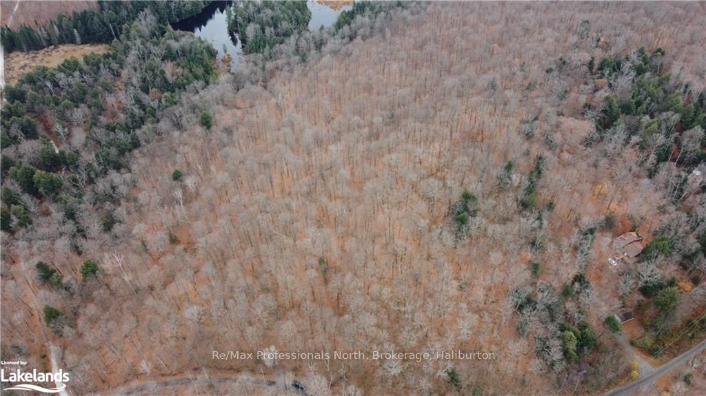 0 Basshaunt Lake Road Property Photo 32