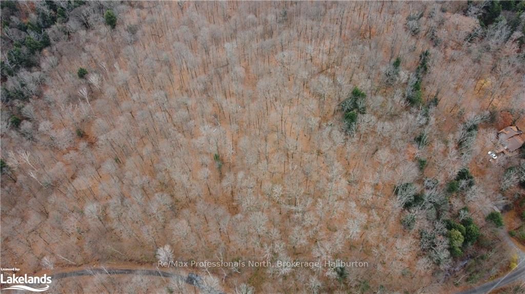 0 Basshaunt Lake Road Property Photo 33