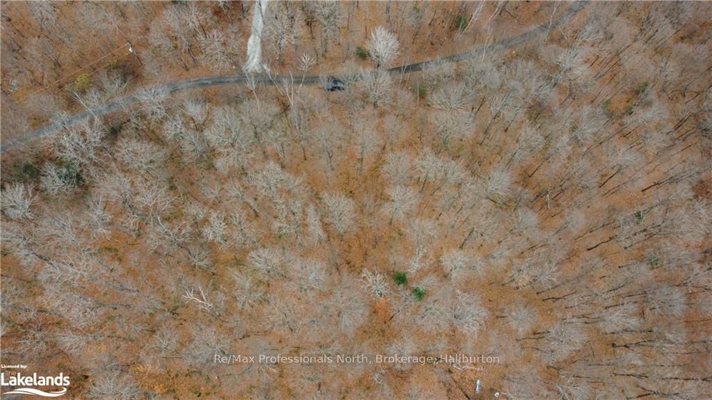 0 Basshaunt Lake Road Property Photo 36