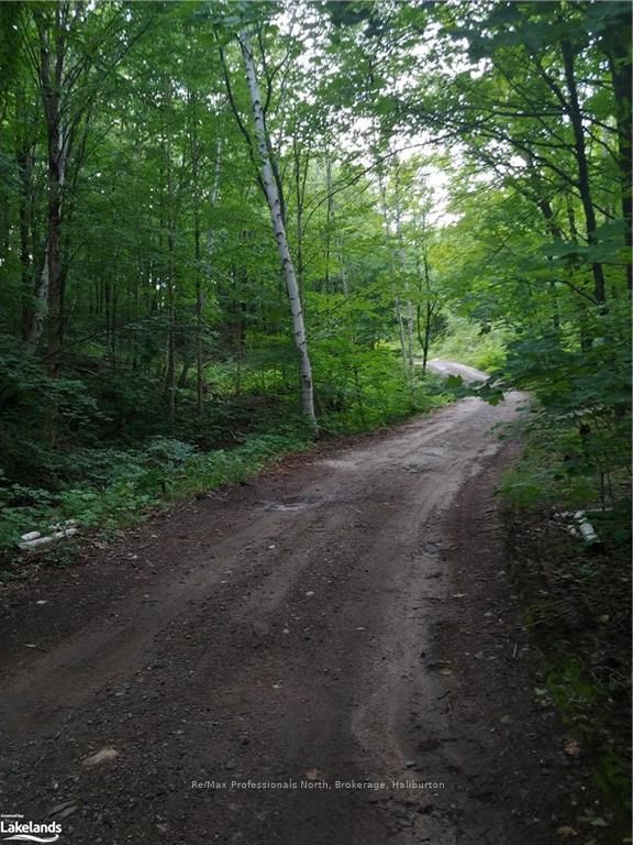 0 Basshaunt Lake Road Property Photo 37
