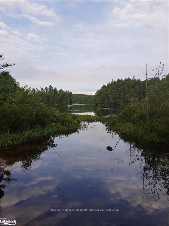 0 Basshaunt Lake Road Property Photo 38
