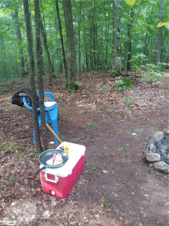 0 Basshaunt Lake Road Property Photo 40