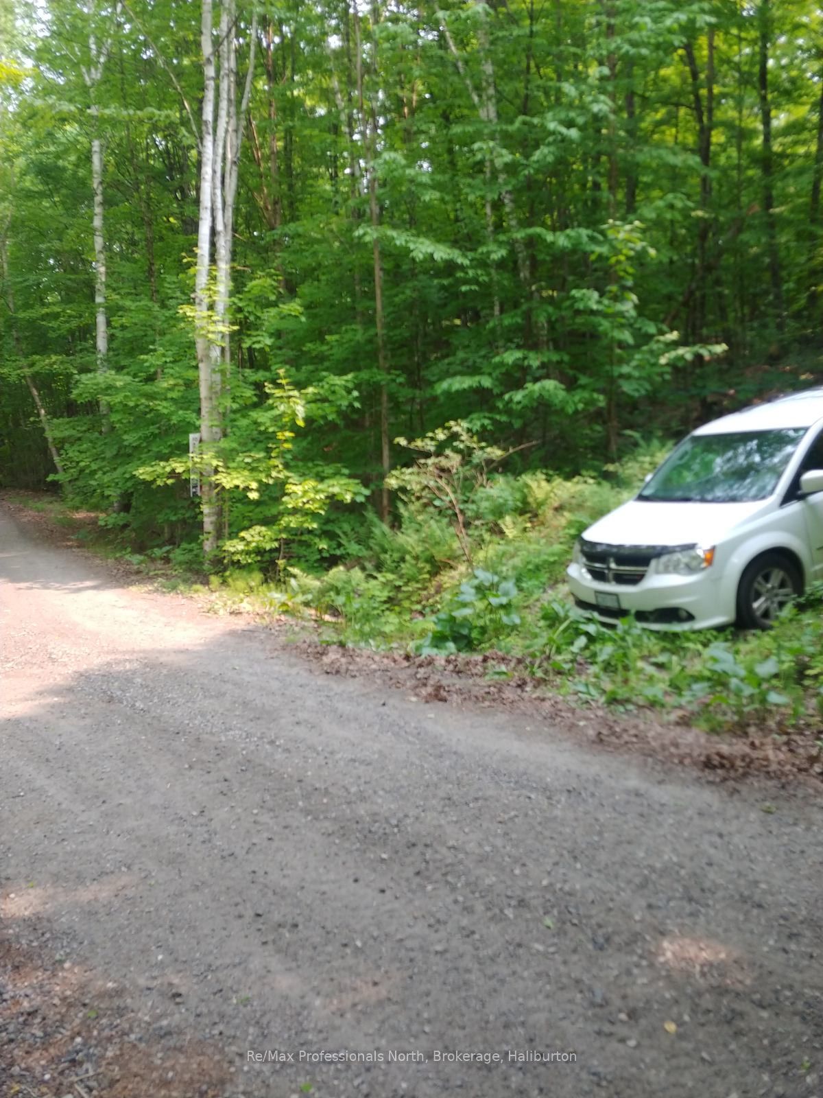 0 Basshaunt Lake Road Property Photo 41