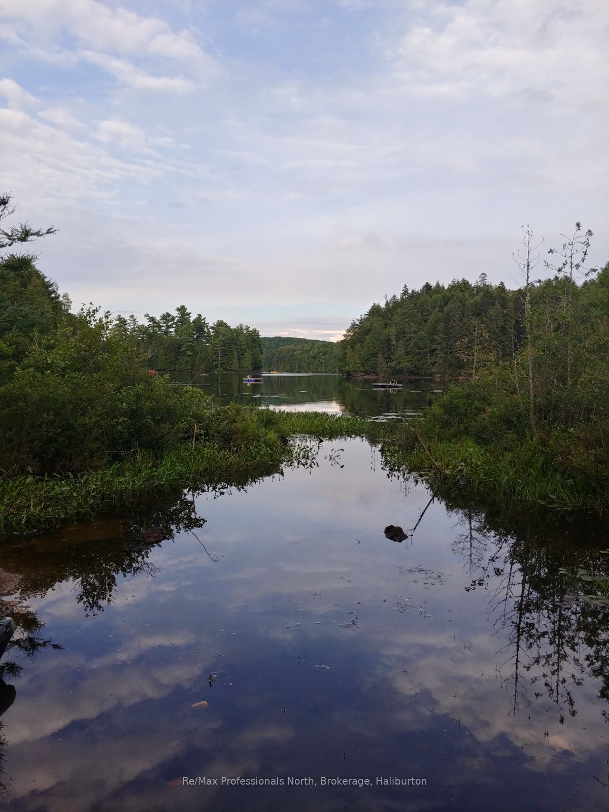 0 Basshaunt Lake Road Property Photo 42