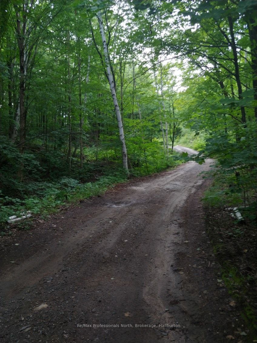 0 Basshaunt Lake Road Property Photo 43