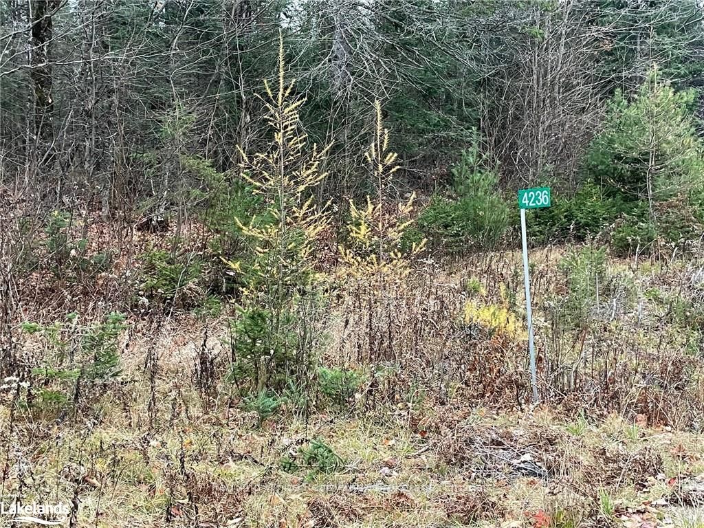 4236 Highway 518 W Property Photo 17