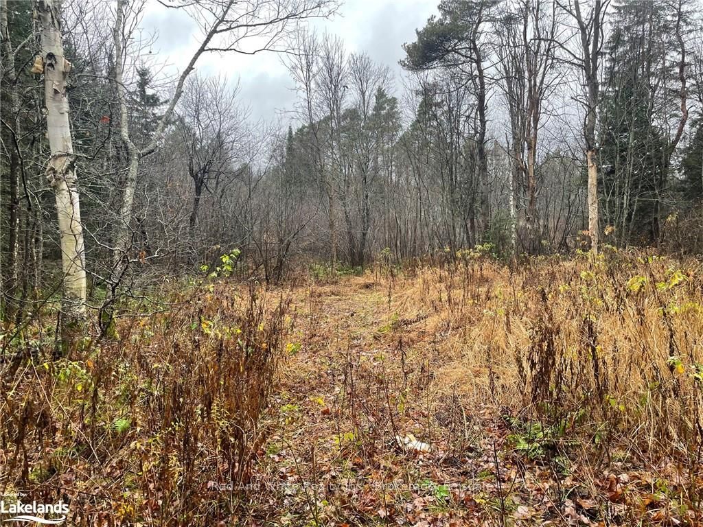 4236 Highway 518 W Property Photo 22