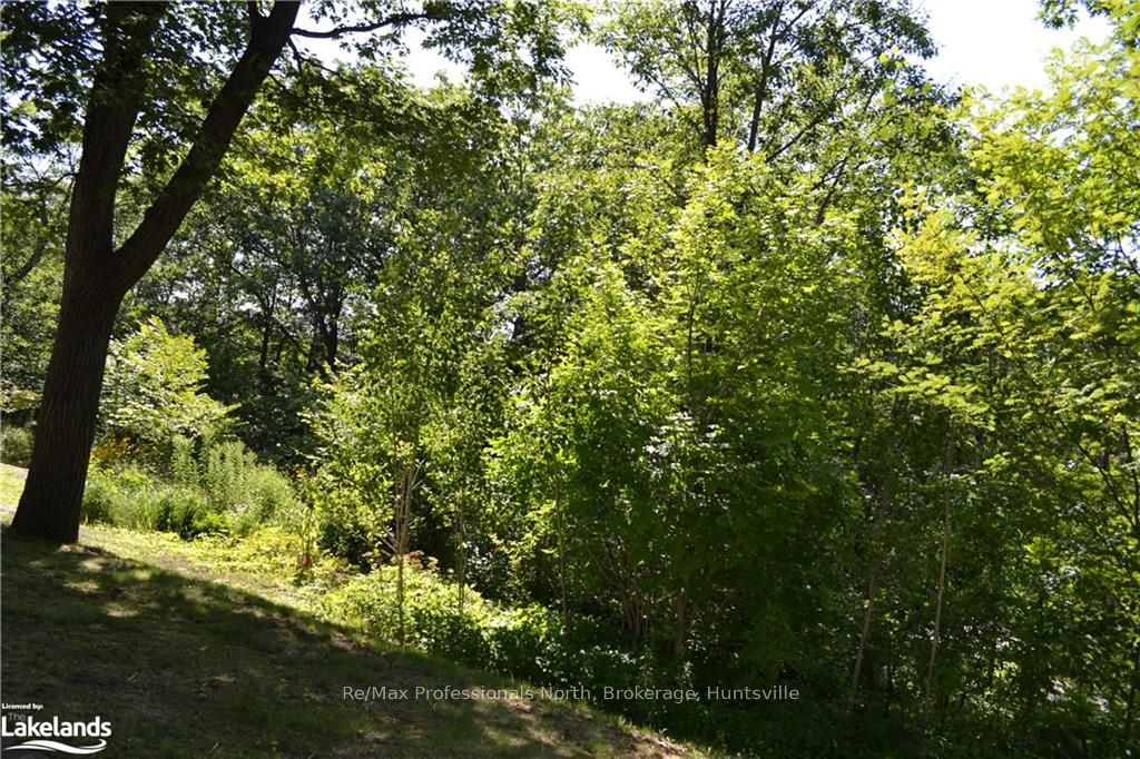#22 - 26 Herman Avenue Property Photo 24