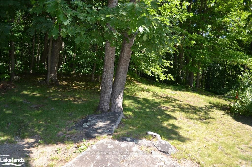 #22 - 26 Herman Avenue Property Photo 29