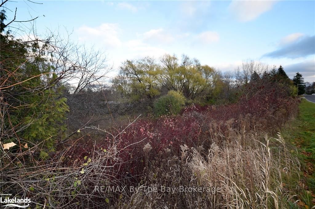 41 Lansdowne Street Property Photo 13