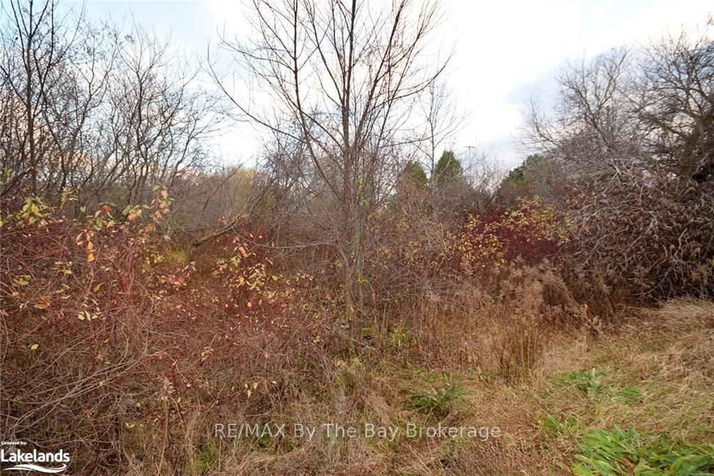 41 Lansdowne Street Property Photo 14