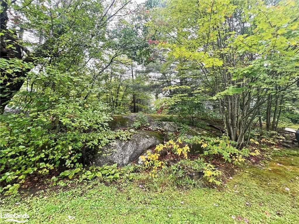 278 124 Highway Property Photo 4