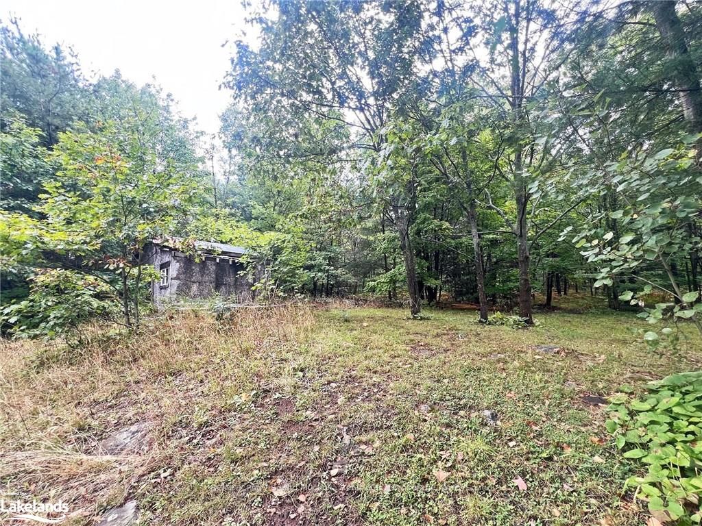 278 124 Highway Property Photo 5