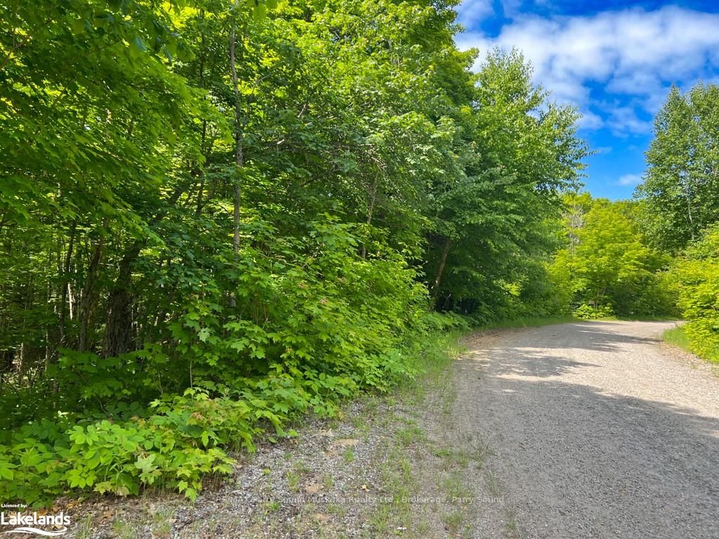 Lot 7 Kribs Road Property Photo 3