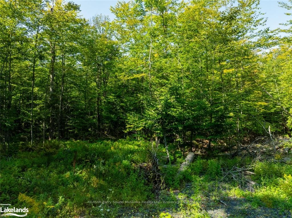 18 Burnside Bridge Road Property Photo 3