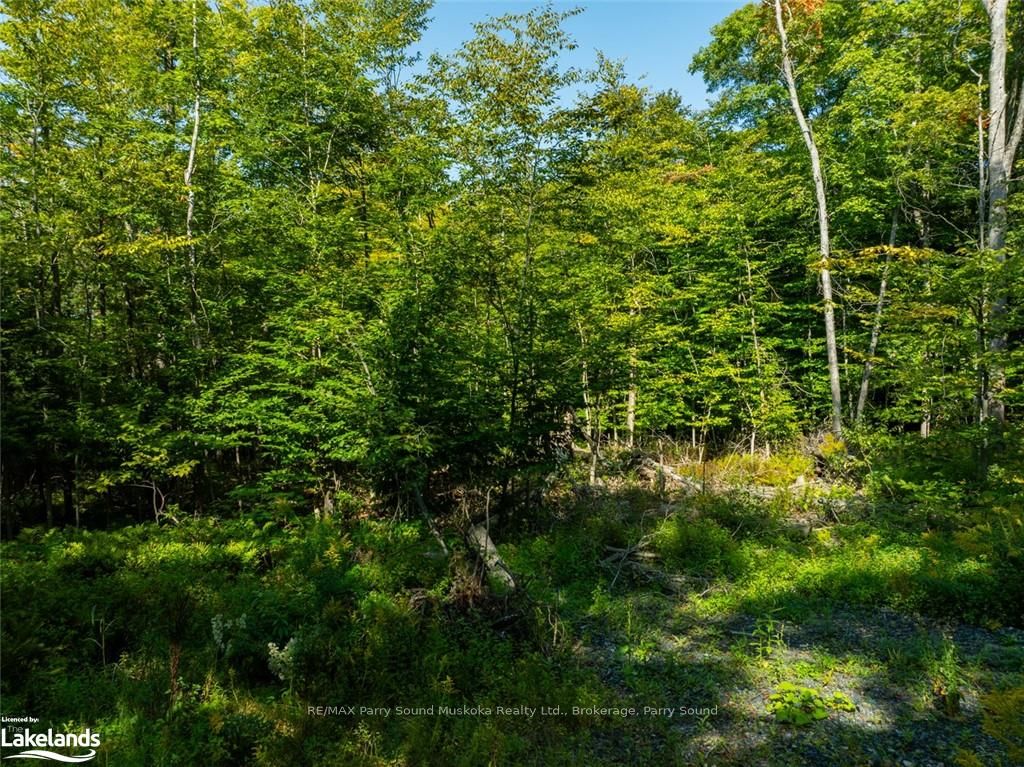 18 Burnside Bridge Road Property Photo 18