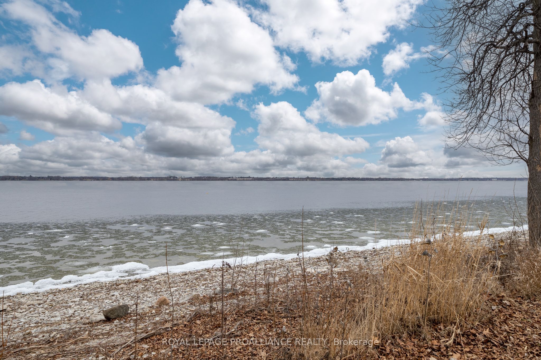 25 Prinyers Cove Crescent Property Photo 4