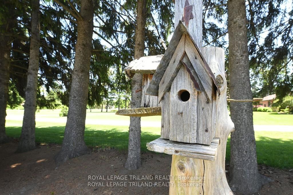 5103 Dundas Street Property Photo 18