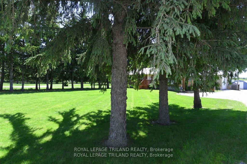 5103 Dundas Street Property Photo 23
