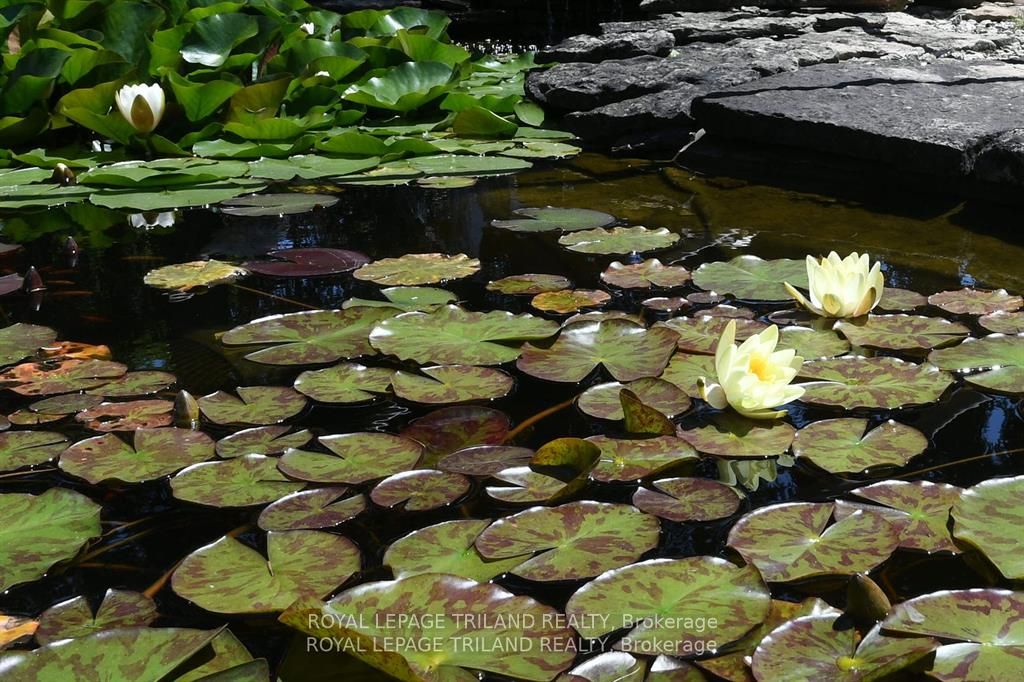 5103 Dundas Street Property Photo 24
