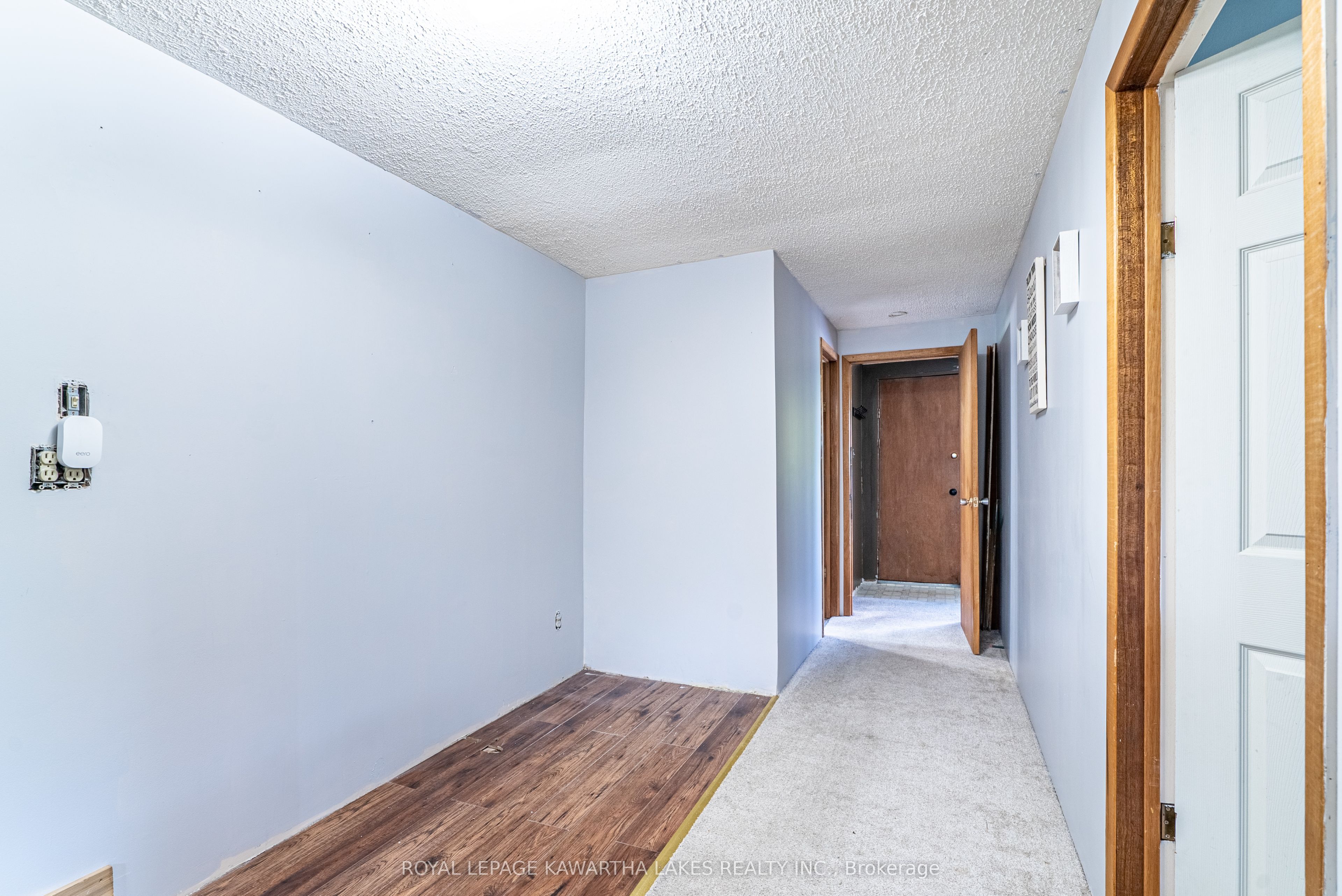 13 Eva Street Property Photo 21