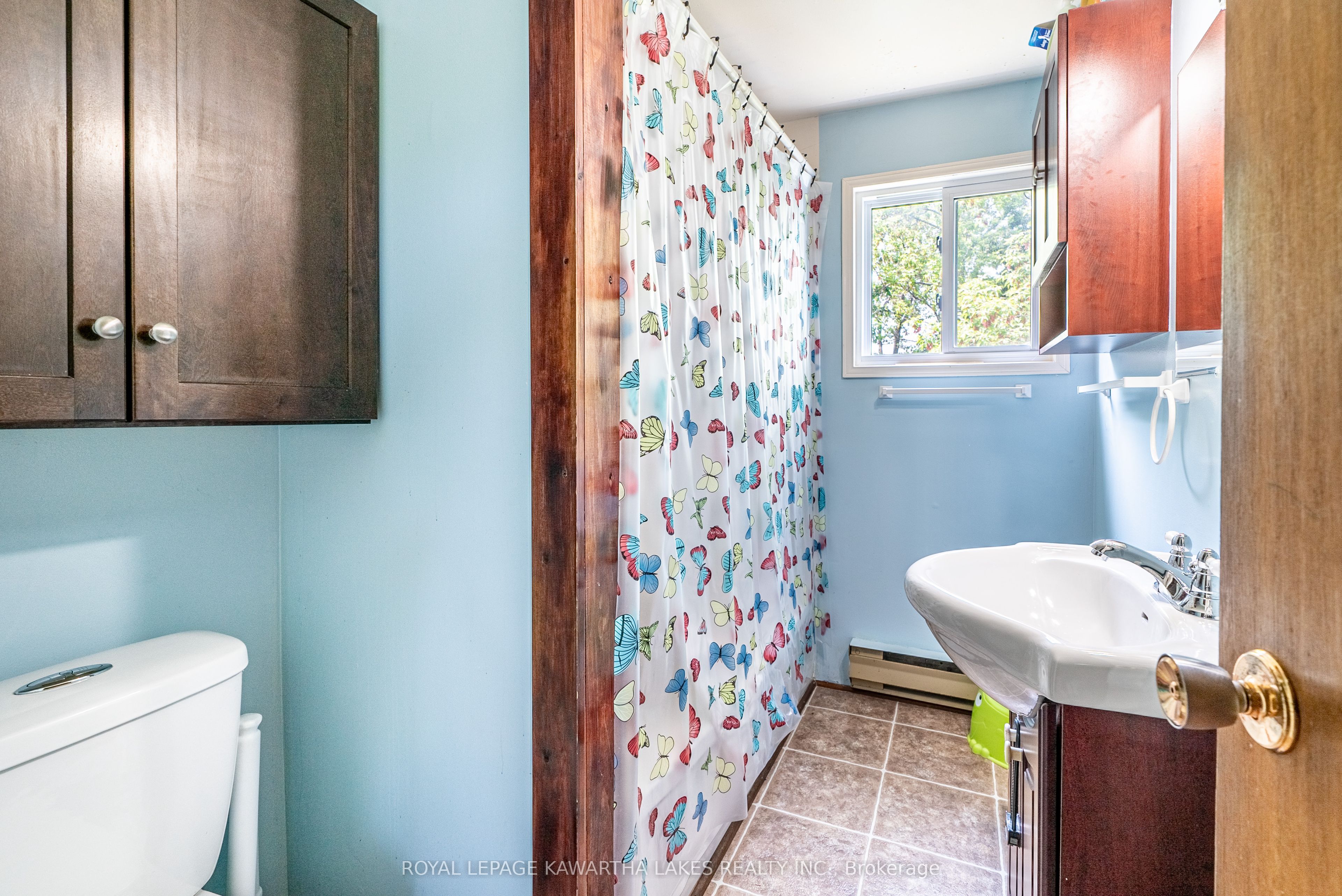 13 Eva Street Property Photo 25