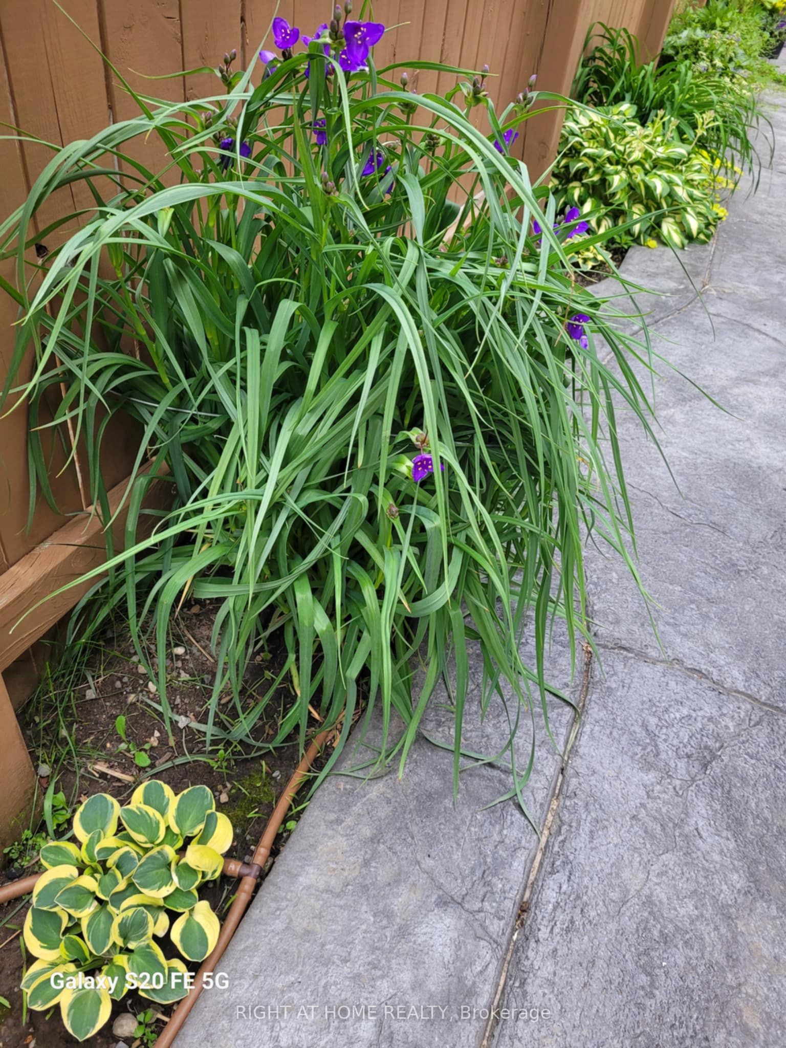 22 Lavender Place Property Photo 37
