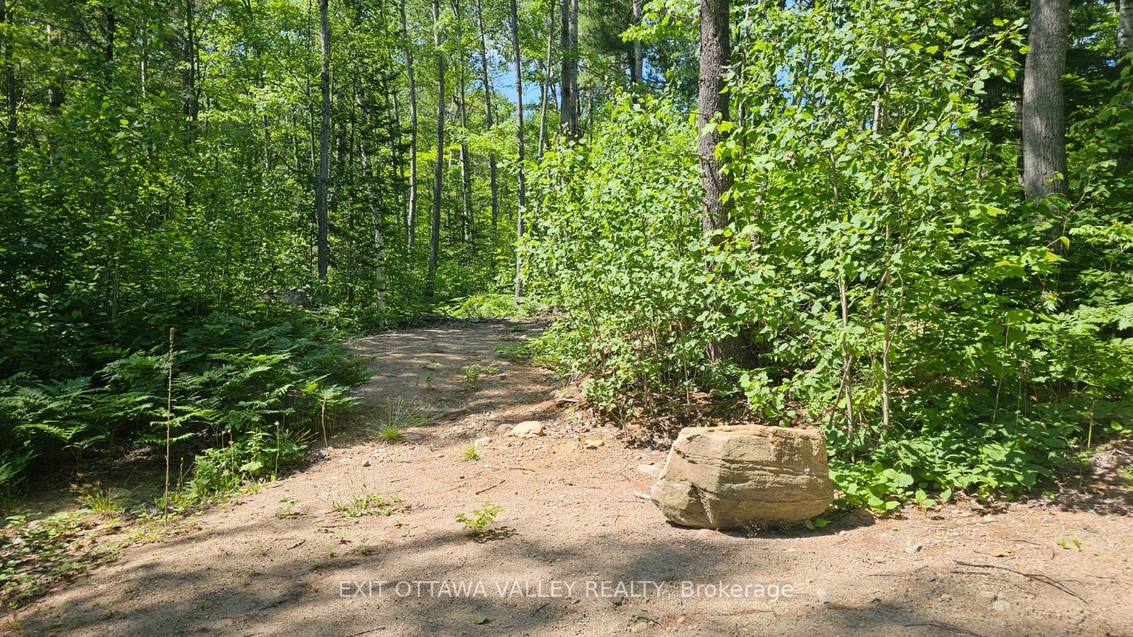 11072 Opeongo Road Property Photo 1
