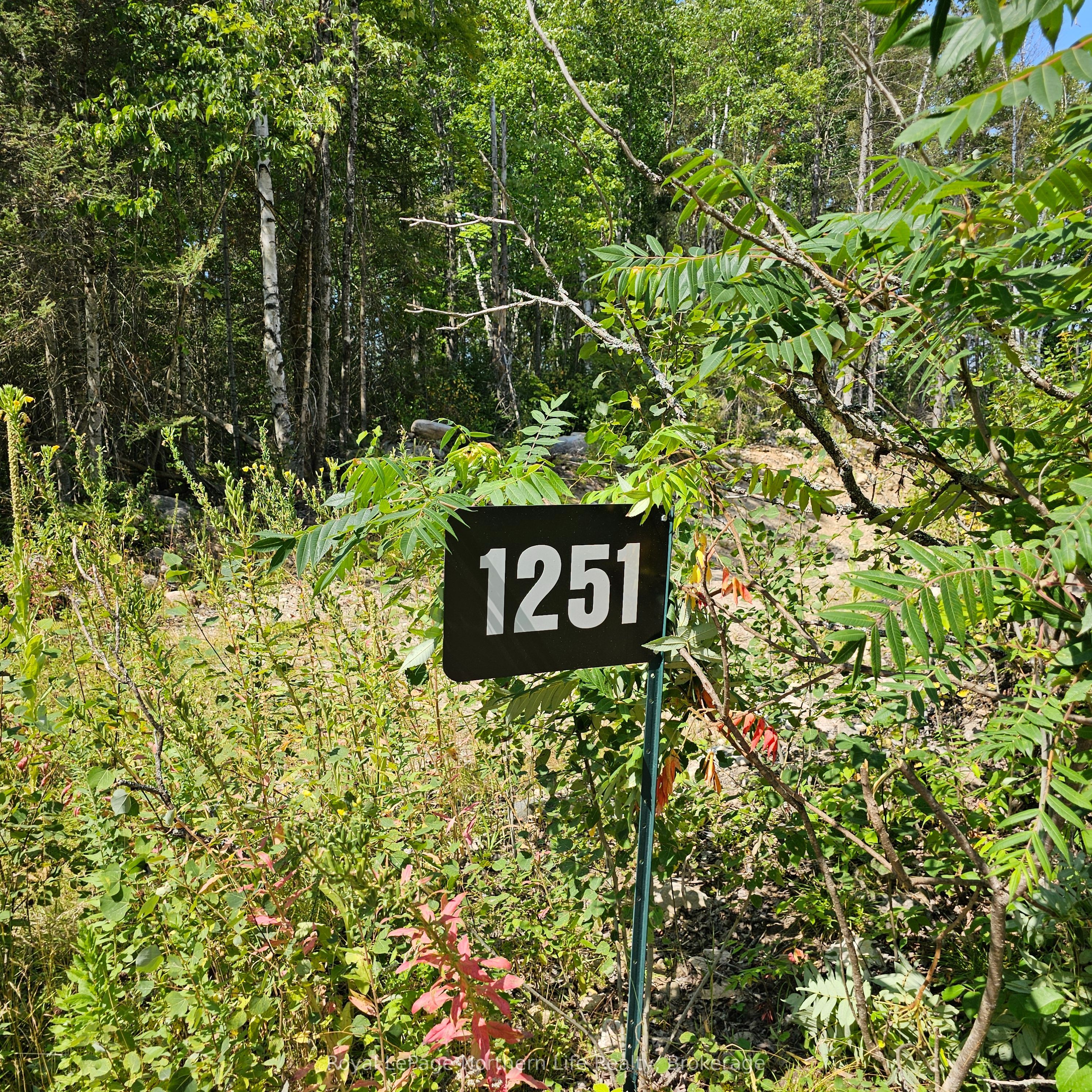 1251 Snake Creek Road Property Photo 1