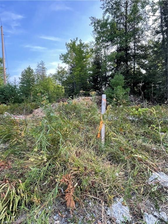 Part Lot 2 Leduc Road Property Photo 3
