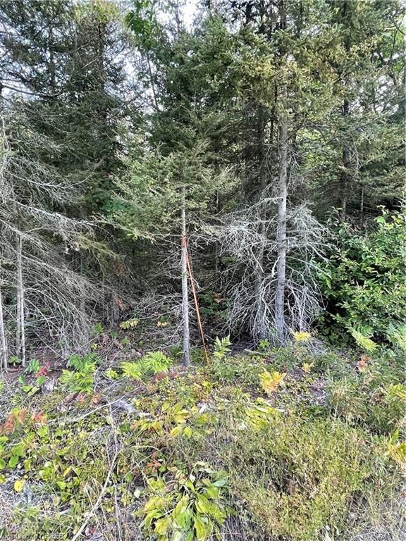 Part Lot 2 Leduc Road Property Photo 5