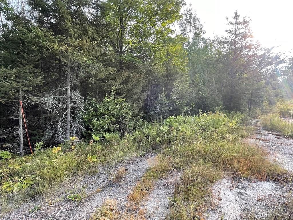 Part Lot 2 Leduc Road Property Photo 6