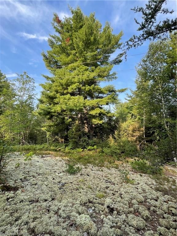 Part Lot 2 Leduc Road Property Photo 11