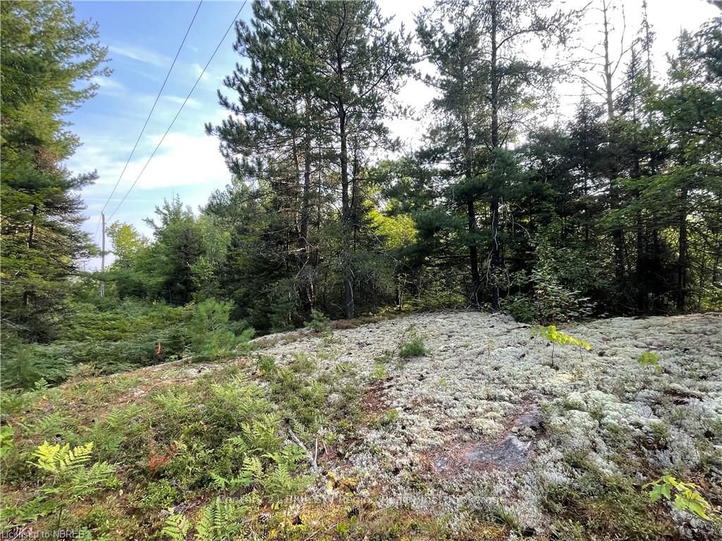 Part Lot 2 Leduc Road Property Photo 12