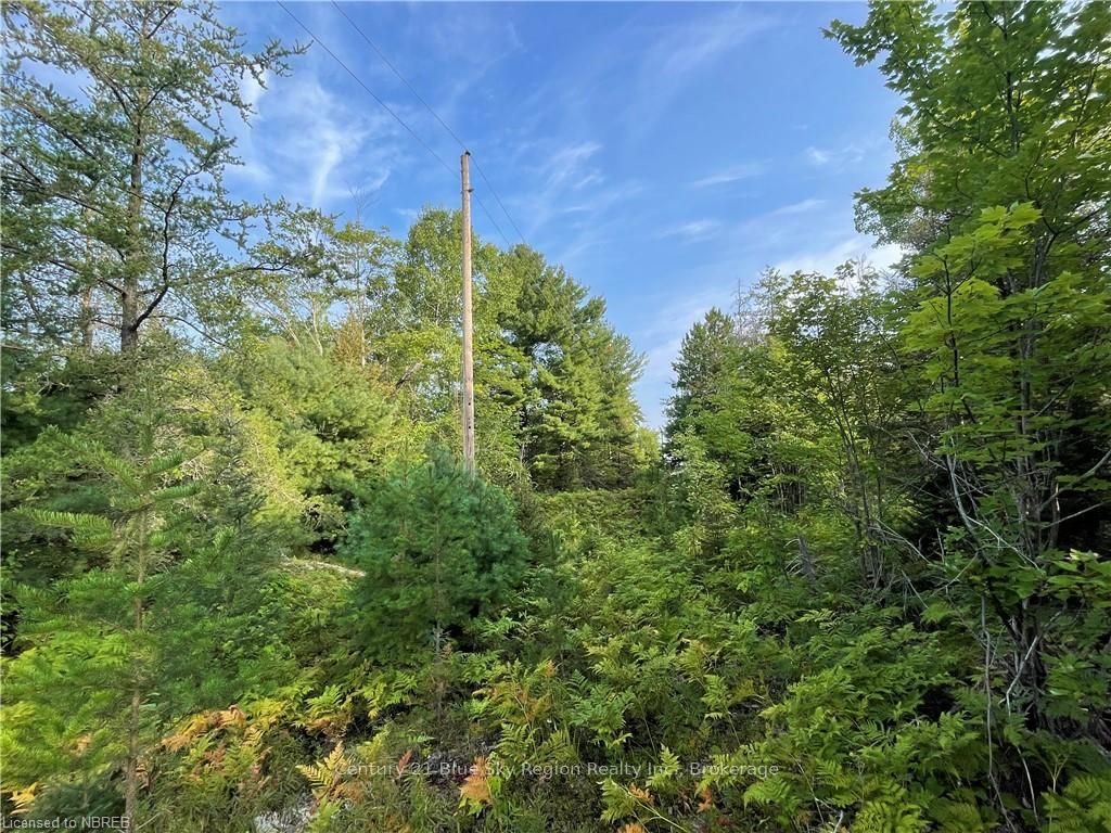Part Lot 2 Leduc Road Property Photo 13
