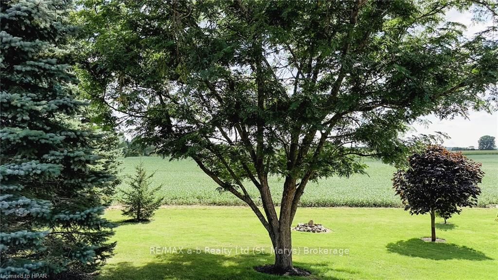 6055 Fischer Road Property Photo 38