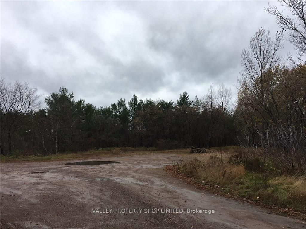 3532 Petawawa Boulevard Property Photo 7