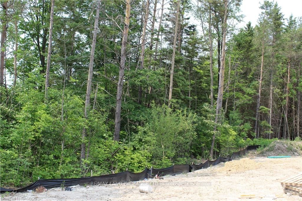 766 Campbell Avenue Property Photo 13