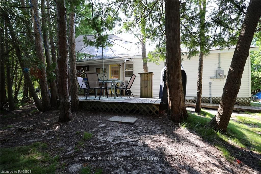 11 Alvin Street Property Photo 10